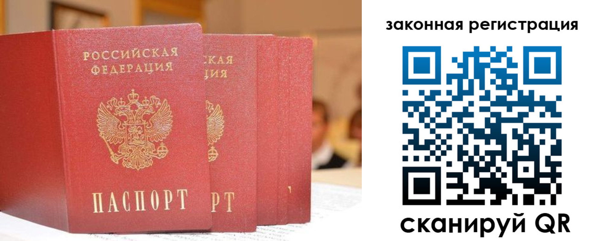 прописка поиск в Котовске